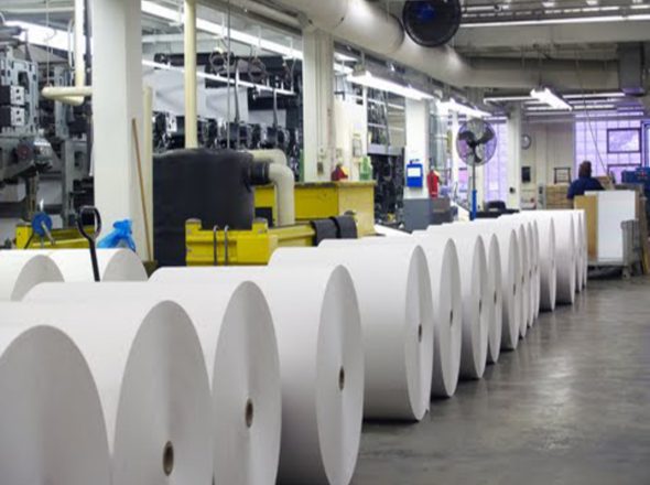 paper-industry (1)